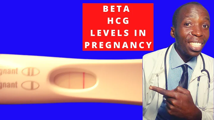 Beta-hCG: interpreting your pregnancy test