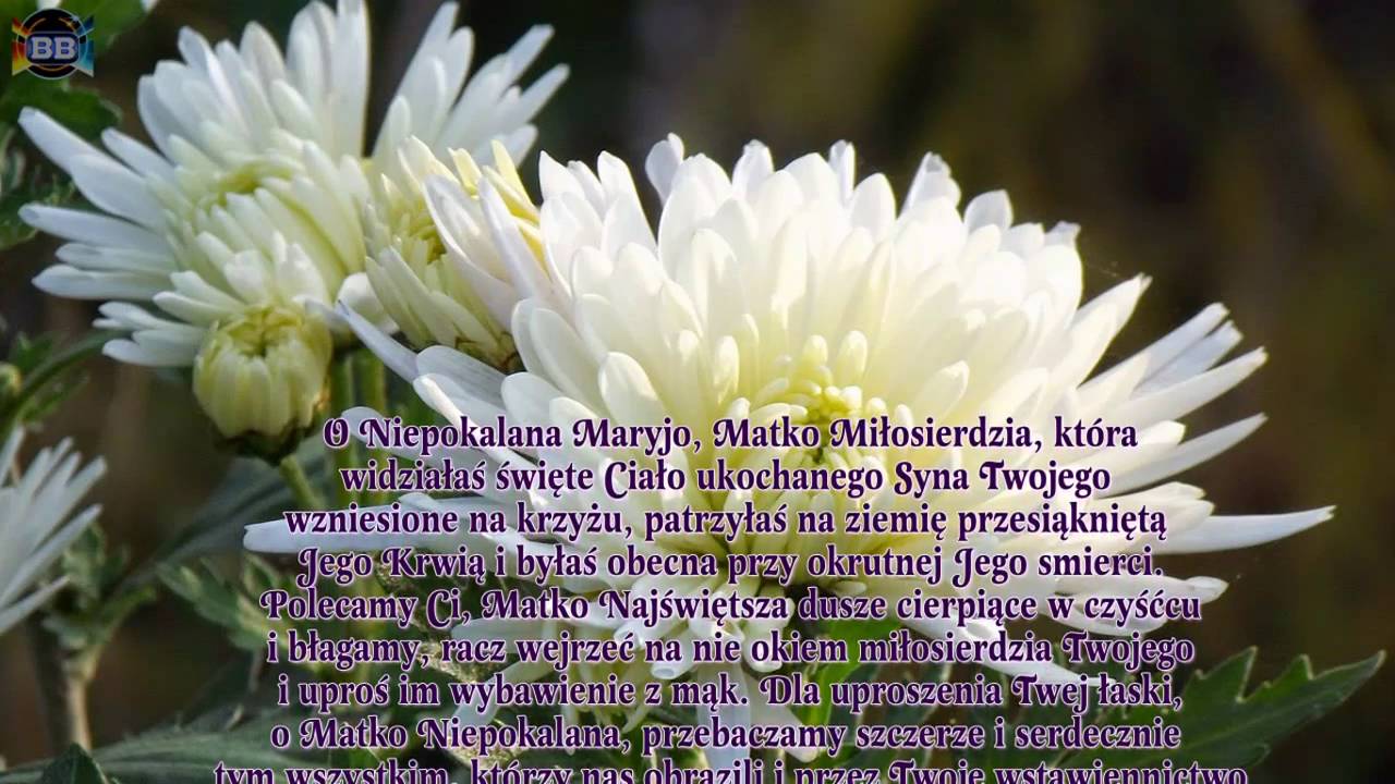 Modlitwy za zmarłych na każdy dzień tygodnia - PONIEDZIAŁEK