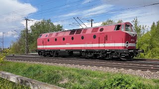 Dichter Zugverkehr am Abzweig Magdeburg-Rothensee: Güterzüge, interessante Lokfahrten, Taktverkehr