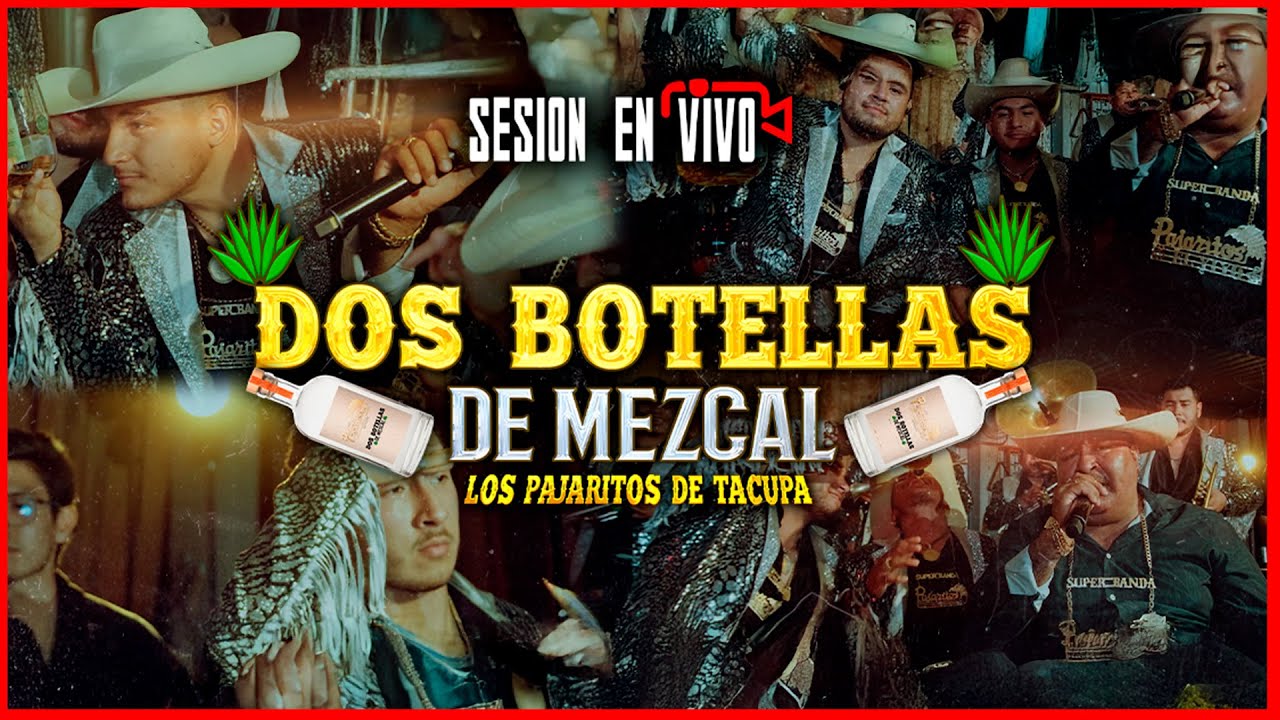 Dos Botellas de Mezcal - Los Pajaritos de Tacupa