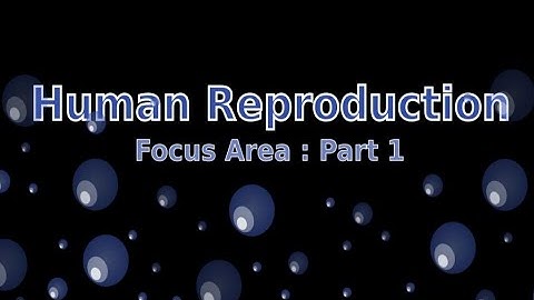 Human Reproduction|Focus area video | Part1|Zoology|Kerala Higher Secondary|Biju TL