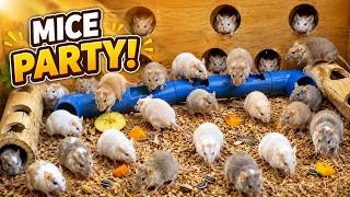 Cat TV Mouse 🐭 Endless Mouse Tunnel Adventures in 4K 4 HOURS 😺 | Mouse Hunt Zone screenshot 3