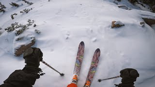 Cirque Forest Skiing