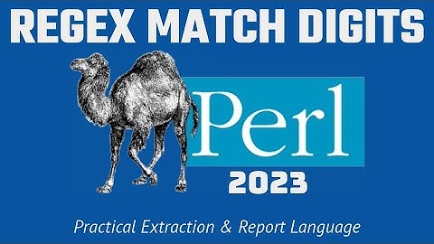 Perl Programming - REGEX Digit Matching Code Example 2023
