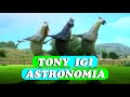 Toni Igi - Astronomy (Coffin Dance) Multversion