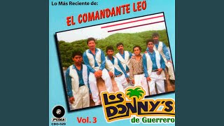 Video thumbnail of "Los Donny's de Guerrero - Luto De Tlacamama"