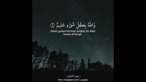 سورة التغابن بصوت مُريح للقلب.