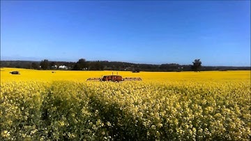 Late Nitrogen on Hybrid Canola - Sep 2014