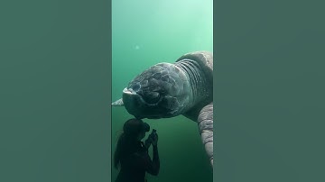 Making vfx scenes for movies | using midjourney+kling Ai | this is a great technique for my movies