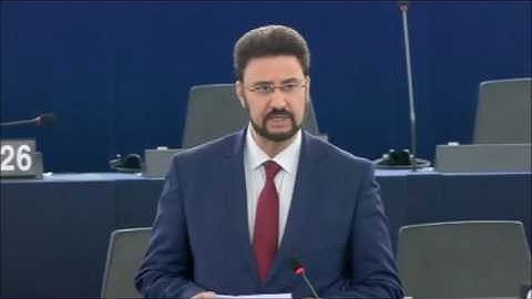 CFSP speech in EU Parliament 13 December 2016