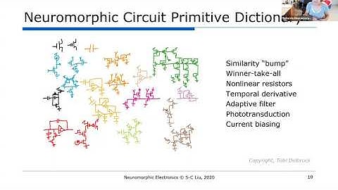 Shih-Chii Liu: Neuromorphic electronics, A historical perspective (Telluride Neuromorphic 2020)