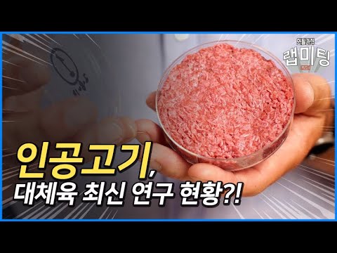   인공고기 대체육 최신 연구 현황 식물성 고기 배양육 비욘드미트 임파서블 푸드 안될과학 랩미팅