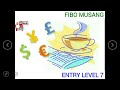 Fibo Musang : Level Entry 7 - YouTube