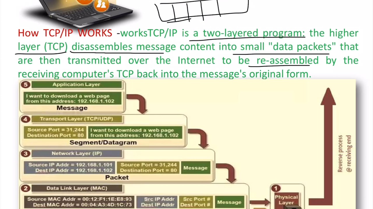 CBSE XII CS NETWORK PROTOCOLS - TCP/IP - YouTube