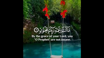 ن والقلم وما يسطرون - سالم الرويلي 💜 حالات واتس اب قران 🎧 تلاوة خاشعة 💙Quran Status💜اية قرانية قصيره