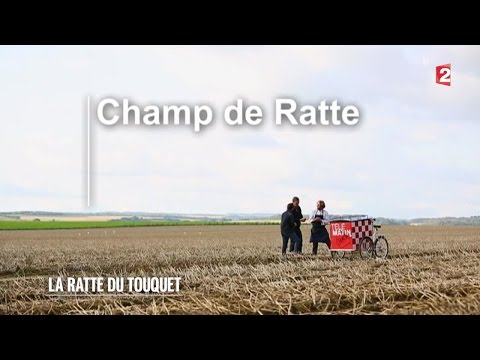 marchés---la-ratte-du-touquet---2015/10/17