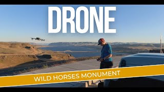 Drone: Wild Horses Monument - Washington