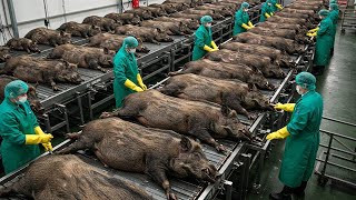 Вот Как Производят Элитный Иберийский Хамон, Который Стоит Целое Состояние