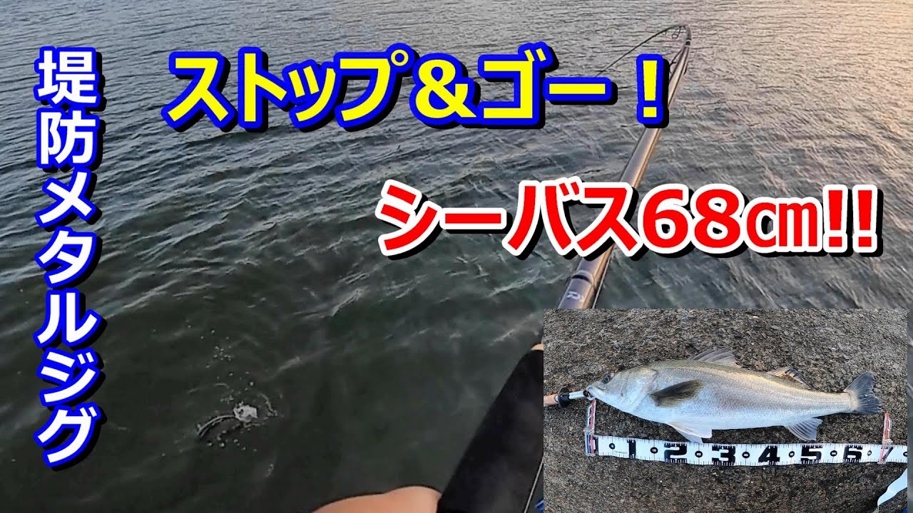 堤防からメタルジグ ストップ ゴー でデイシーバスを釣る Youtube
