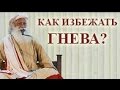 Садгуру - Как избежать гнева?