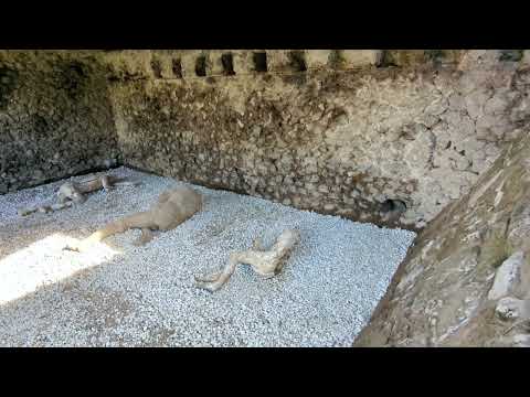 Porta Nocera: la necropoli e i calchi delle vittime dell'eruzione