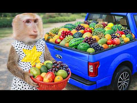 YaYa and Shally were very excited to see the basket full of fruit. 😋😍