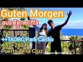 ++ TAORO Park Cardio Puerto de la Cruz Tenerife Canary Islands Teneriffa Kanarische Inseln Canarias