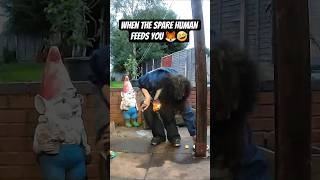 Tbf She did good 👍 #germanshepherd #happydog #dogtalk #gsd #shorts #funnydogs #dogshorts #funny #fyp