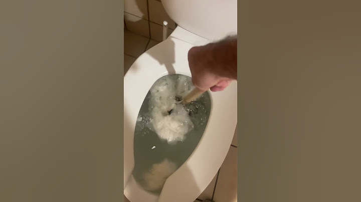 Clogged toilet. Plunger.