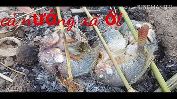 Cá rô phi nướng muối ớt _rẹm thấp xã