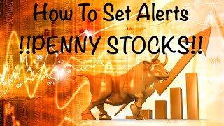 How to Set Alerts for Stocks and Penny Stocks! The step to become a successful Day Trader!!