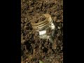 Unbelievable! What's in the mason jar found metal detecting? Cache