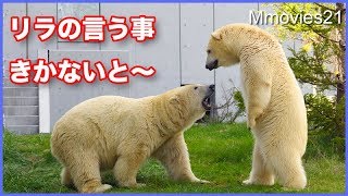 出た！リラのおらおら作戦　リラらしい行動の数々　世話がやける娘ほど可愛い