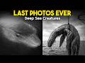 7 Last Photos Of Deep Sea Creatures