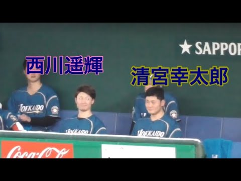 ベンチの西川遥輝と清宮幸太郎