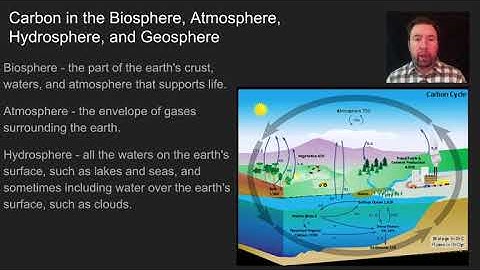 Ecosystems- Interactions, Energy, and Dynamics Video 4