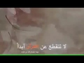 لا نتقطع عن قرائة القرآن لا نتقطع عن قرائة القرآن