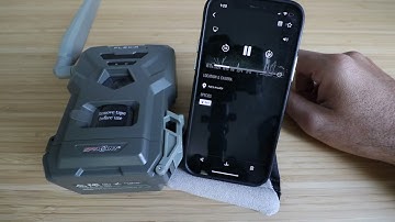 Spypoint Flex M Trail Camera Review - Bad or Good?