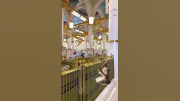 الشيخ المنشاوي من سورة الأنبياء الآية ١٤ #quran #القرآن_الكريم