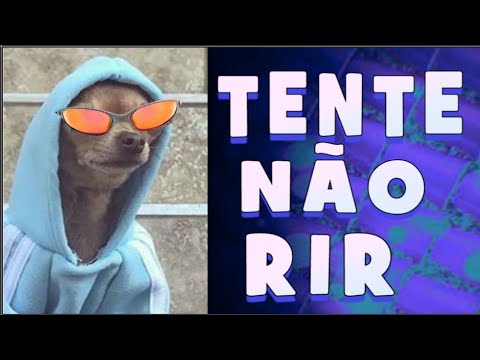 Videos Engraçados 2020 Os Melhores MEMES Tente Não Rir 2020 #002 