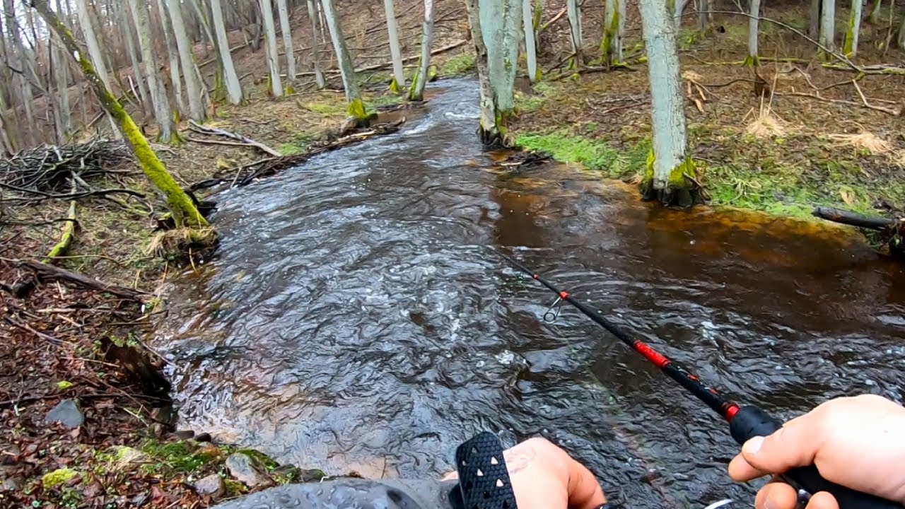 W nieznanej pstrągowej krainie !!! TRZY RYBNE RZEKI !!! - YouTube