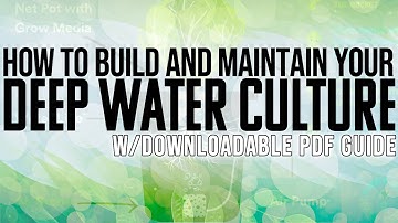 I Show You How To Build, Fill, And Setup A DWC / Deep Water Culture Hydroponic Garden Easily