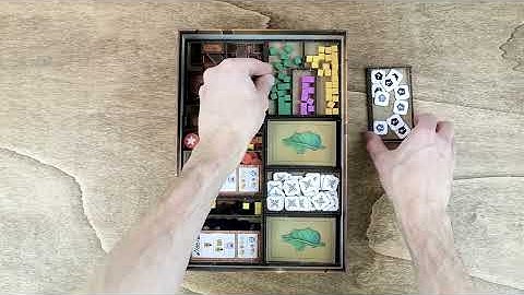 Reboxing Ants Board Game Insert Organizer - The Dicetroyers