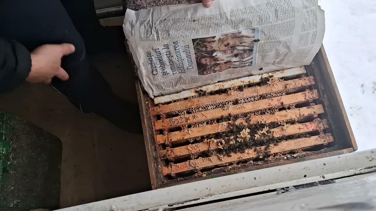 Nevoie de turta ? Da sa-u nu ?