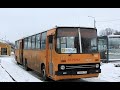 Ikarus 280.03, Ikarus 260.51F и Ikarus 260.50 Яхрома Ретролайн