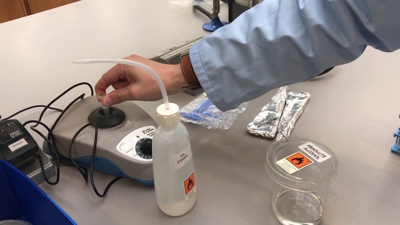 Level 2 Microbiology & Immunology | Serial Dilution - YouTube