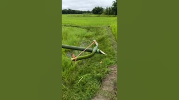 Bamboo bow \\ #homemade #aim #diyideas