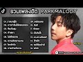 รวมเพลงฮิตPARKMALODY รวมเพลงในTikTok เพราะๆฟังสบายๆ : วาสนาผู้ใด, คำเชยๆ, ดางหางฮัลเลย์