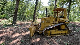 Crazy thick woods, can I clear it with the D4H??? #newvideo #bulldozer #subscribe