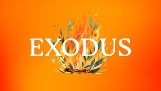 Grouchy Grumblers, Gracious God| Exodus 15-17| Sunday Sermon